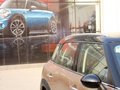 MINI COUNTRYMAN 2012款 MINI COUNTRYMAN 1.6T AT COOPER S All 4 滑雪版图片