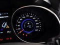 全新胜达（进口） 全新胜达 3.0L AT 旗舰版四驱7座 2013款图片
