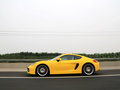 Cayman 2013款 S 3.4L DCT图片