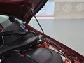 世嘉 全新世嘉 三廂 1.6 MT 品尚型 2013款圖片