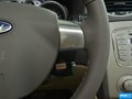 福克斯 图片