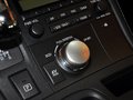 雷克萨斯CT 2013 CT200h 花语花忆图片