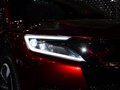 DS wild rubis 2013款 DS wild rubies图片