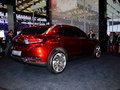 DS wild rubis 2013款 DS wild rubies图片