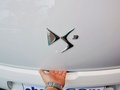 DS 3 2013款 DS3 1.6L 風(fēng)尚敞篷版圖片