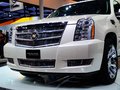 凱雷德ESCALADE 圖片