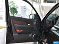 雷斯特W 图片