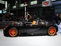 威龙 2013款 布加迪威龙图片