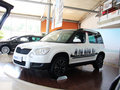 Yeti（进口） 2013款 1.8T DCT 尊享版 5座图片