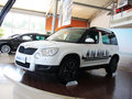 Yeti（进口） 2013款 1.8T DCT 尊享版 5座图片