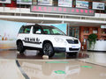 Yeti（进口） 2013款 1.8T DCT 尊享版 5座图片