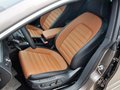 大众CC 2013款 2.0TSI DSG 至尊型图片