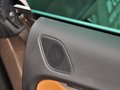 大众CC 2013款 2.0TSI DSG 至尊型图片
