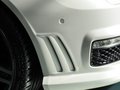 奔馳S級AMG S65L AMG 6.0T Grand Edition 2013款圖片