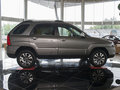 狮跑 2013款 狮跑 2.0 GLS 手动两驱图片