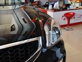 狮跑 2013款 2.0GLS 自动两驱图片