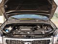 狮跑 2013款 2.0GLS 自动两驱图片