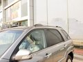 狮跑 2013款 2.0GLS 自动两驱图片