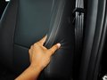 狮跑 2013款 DLX 自动两驱图片