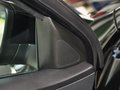 邁騰 2013款 1.8T DSG 領(lǐng)先型圖片