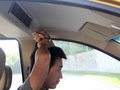 五菱宏光 2013款 S 豪华型图片