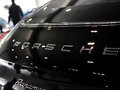 Panamera Panamera 3.0T 4S 2014款图片
