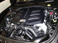 Panamera Panamera 3.0T 4S 2014款图片