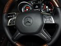 奔驰GL级 2013款 4.7T 自动 4MATIC 7座图片