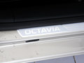 明锐 1.6L 手动 逸杰版 2014款图片