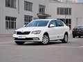 速派 2013款 1.4T 手动 绅仕版图片