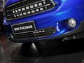 MINI PACEMAN 图片