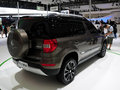 Yeti 2013款 野帝图片