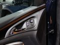 英速亞Insignia 圖片