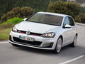 高尔夫(进口) 2014款 Golf GTI图片