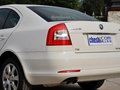 明锐 2014款 1.4TSI DSG 逸致版图片