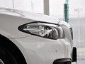 寶馬5系 2014款 5系 525Li 領先型圖片
