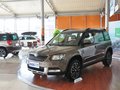 Yeti 2013款1.8TSI DSG 野驱版图片