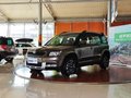 Yeti 2013款1.8TSI DSG 野驱版图片