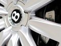飞驰 6.0T 自动 W12 豪华版 2013款图片
