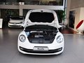 甲壳虫 甲壳虫 1.4TSI 舒适型 2014款图片