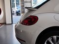 甲殼蟲 甲殼蟲 1.4TSI 舒適型 2014款圖片