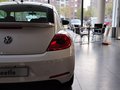 甲殼蟲(chóng) 甲殼蟲(chóng) 1.4TSI 舒適型 2014款圖片