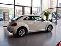 甲壳虫 甲壳虫 1.4TSI 舒适型 2014款图片