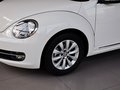 甲壳虫 甲壳虫 1.4TSI 舒适型 2014款图片