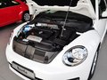 甲壳虫 甲壳虫 1.4TSI 舒适型 2014款图片