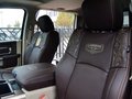 RAM Trucks霸王龙 2014款 5.7L 长角版图片