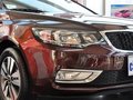 福瑞迪 1.6L 自动 Premium 2014款图片