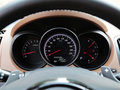 福瑞迪 2014款 1.6L 自动 Premium图片