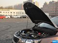 福瑞迪 图片