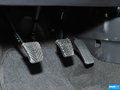 福瑞迪 图片